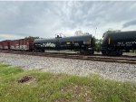 CRDX 290031